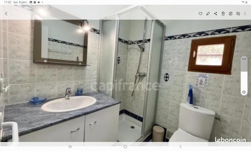 塞特港Villa familiale carlex的一间带水槽、淋浴和卫生间的浴室