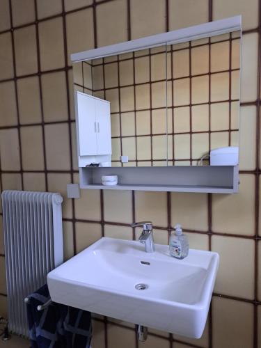 伊伯恩道夫Appartment Resi wohlfühlen und relaxen的浴室设有白色水槽和镜子