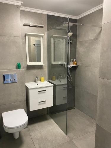 华沙Apartament 333的浴室配有卫生间、盥洗盆和淋浴。
