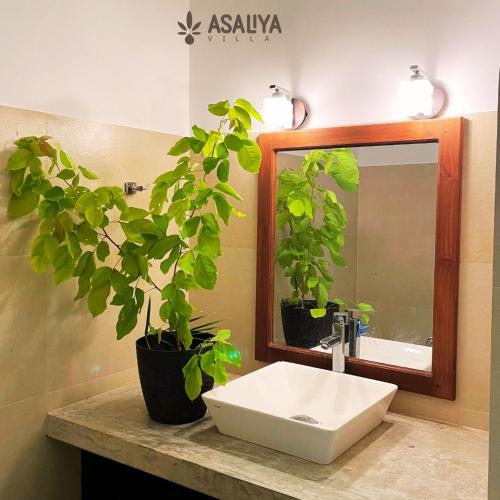 AswalapitiyaAsaliya Villa的浴室水槽,配有镜子和盆栽植物