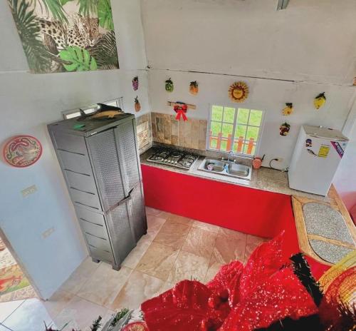ChepoCABAÑAS EL CHEPO的小厨房配有炉灶和冰箱