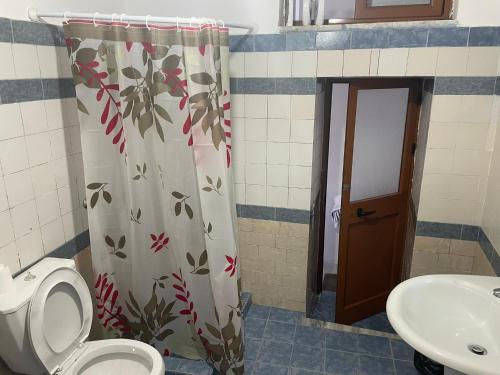吉诺卡斯特Hostel Mateo的浴室设有卫生间、水槽和淋浴帘