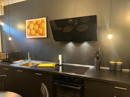 杜塞尔多夫Geschmackvolles Appartement mitten in Düsseldorf的厨房配有带炉灶和水槽的台面
