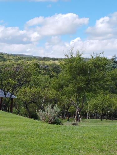 Piedras BlancasComplejo Cerro Norte的一片草场,有树木,有山,背景