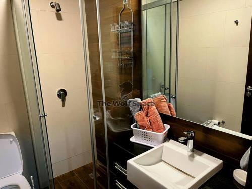 圣克鲁斯Apartamento en ubicación Estratégica的一间带水槽和镜子的浴室