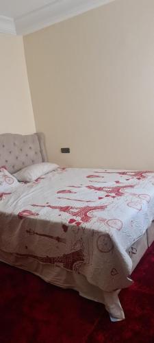 Oulad BouʼabidSimo simom的一间卧室配有一张床铺,床上有毯子