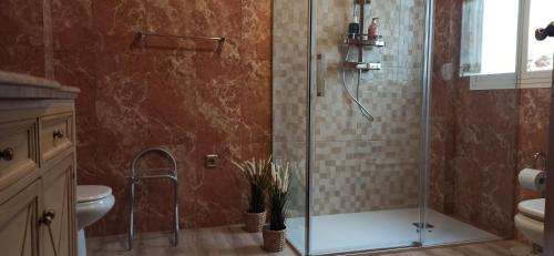 阿亚蒙特Suite Mirando al Guadiana的带淋浴、卫生间和盥洗盆的浴室
