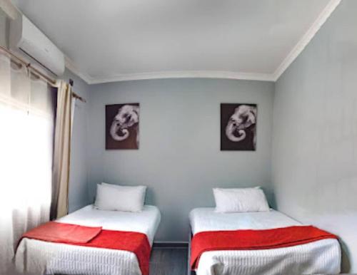 利文斯顿Scolt Apartments Livingstone的带窗户的客房内设有两张单人床。