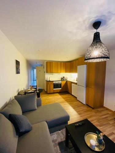 谢莱夫特奥Noah Longstay Skellefteå的带沙发的客厅和厨房