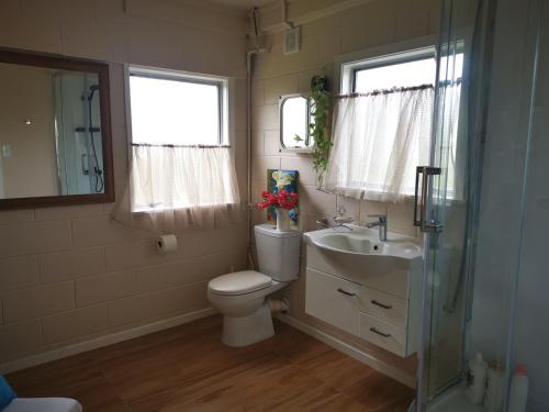 奥克兰Nice house on Wesley Auckland的一间带卫生间和水槽的浴室