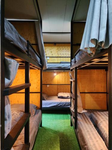通萨拉The 10 club hostel的带绿草的客房内的三张双层床