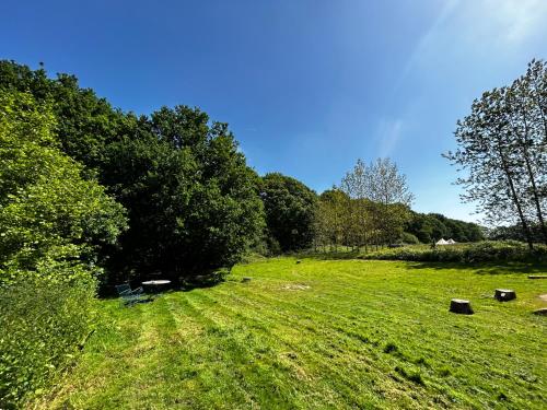 普尔伯勒Sussex Bell Tent的草地,田野里长着长凳