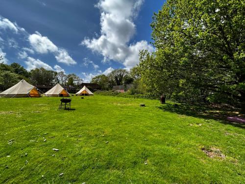 普尔伯勒Sussex Bell Tent的草场上设有帐篷和椅子