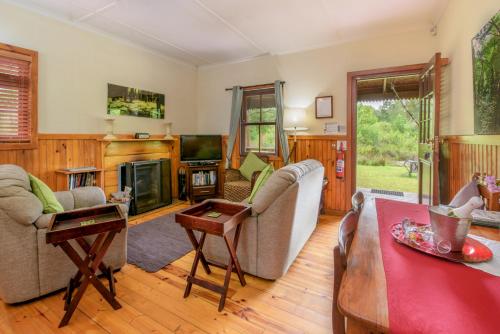 雷因恩道尔Forest Edge的客厅配有家具和壁炉