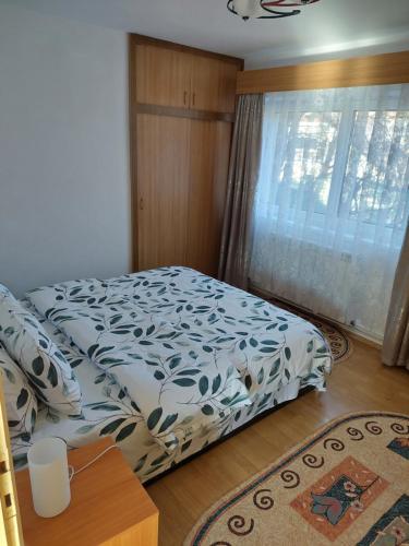 布什泰尼Casa Kasandra的一间卧室设有一张床和一个窗口
