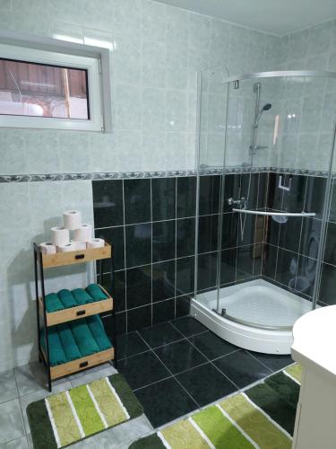 布什泰尼Casa Kasandra的带淋浴、卫生间和盥洗盆的浴室