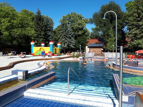 琼格拉德Gyula-tanya Vendégház的公园里有人在水中游泳