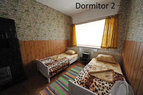 图尔达卡普提旅馆的带2张床的客房,位于带窗户的房间内