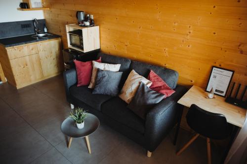 戈雷尼斯卡地区采尔克列Med smrekami - Studio apartment with Chalet, Sauna and Jacuzzi的客厅配有带枕头的黑色沙发