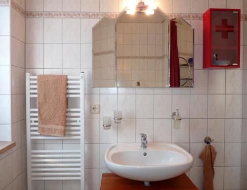 格赫伦-莱宾Ferienhaus Fleesensee的一间带水槽和镜子的浴室
