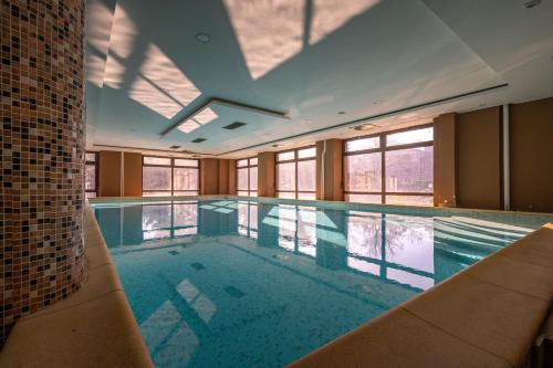贝尔格莱德City Joy - sports Center Tasmajdan的一个带大型游泳池的室内游泳池