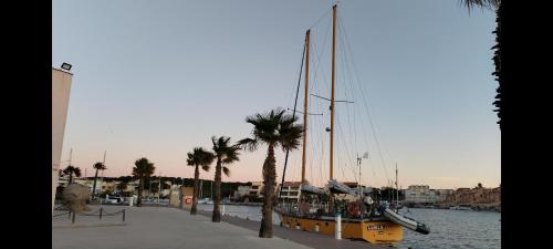 勒卡特港Belle nuit sur l'eau的停在棕榈树码头的黄色船只