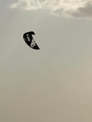 卡波德拉维拉El Viejo Moi Hospedaje & Restaurante的天空中飞翔的黑风筝