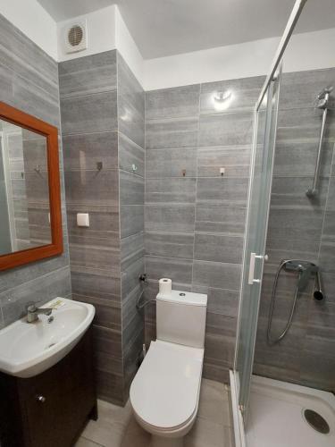 罗兹Ośrodek Wypoczynkowo-Hotelowy PRZĄŚNICZKA的浴室配有卫生间、盥洗盆和淋浴。