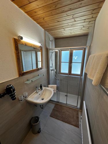 上柯尼希山麓米尔巴赫巴奇古特农家酒店的一间带水槽和淋浴的浴室