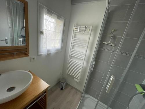 卡布勒通Maison Capbreton, 3 pièces, 4 personnes - FR-1-413-126的带淋浴和盥洗盆的浴室