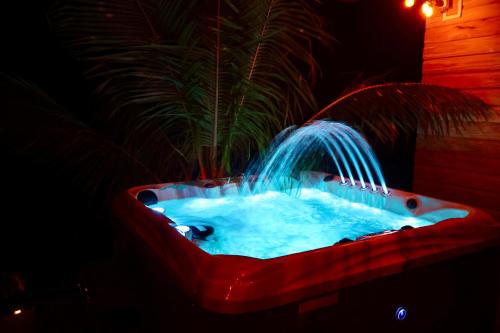 CalibishieBlue Whale Villa - Deluxe Suite的客房内的红色浴缸与喷泉