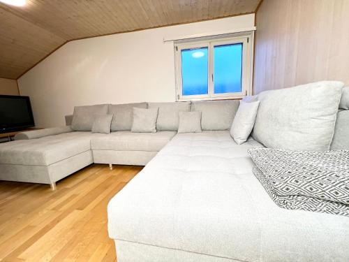布里格Glishorn Blick的客厅配有白色沙发和电视
