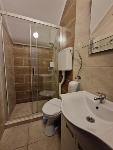 苏博蒂察sobe Astonia的带淋浴、卫生间和盥洗盆的浴室