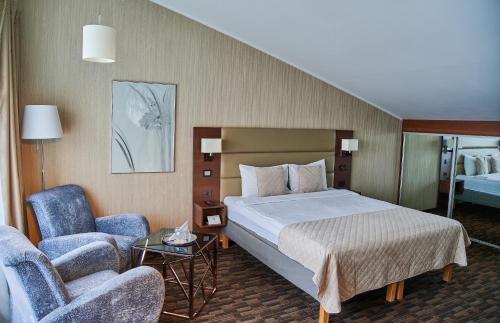考纳斯Olympus Hotel的配有一张床和一把椅子的酒店客房