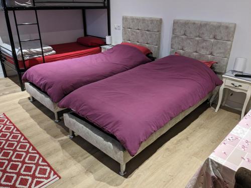 ThieuxÀ 7 minutes de l'aéroport CDG 1的卧室内的两张床,配有紫色毯子