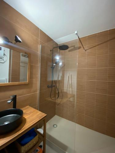 普罗旺斯艾克斯Deux chambres avec terrasse dans le centre ville d'Aix en Provence的带淋浴、水槽和镜子的浴室