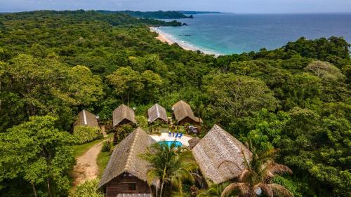 博卡斯德尔托罗Red Frog Beach Island Resort的享有海滩和树木的度假村的空中景致