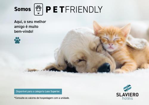 瓜鲁柳斯Slaviero Guarulhos Aeroporto的一只狗和一只猫彼此相邻