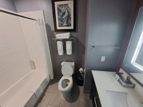 什里夫波特Del-Mar Airport Inn & Suites的浴室配有卫生间、浴缸和水槽。