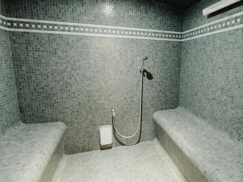 东代恩凯尔克多梅威索克酒店的一间带淋浴的浴室,位于瓷砖墙壁上