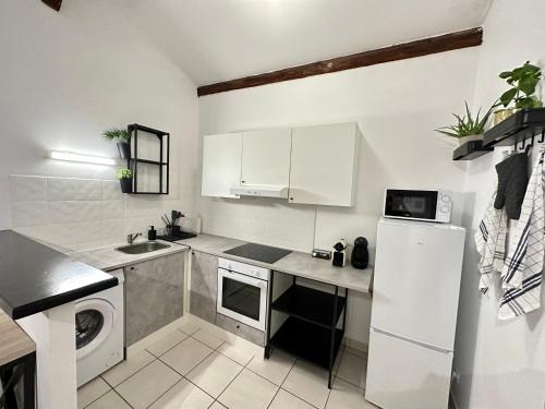 布隆Spacieux & Charmant 2 chambres - Lyon Bron Eurexpo的一间带冰箱和水槽的小厨房
