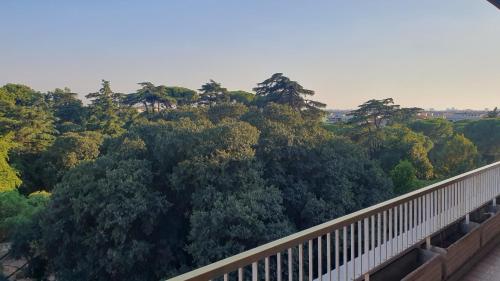 罗马LAZZARONI HOUSE GARDEN的从桥上可欣赏到森林的树木景色