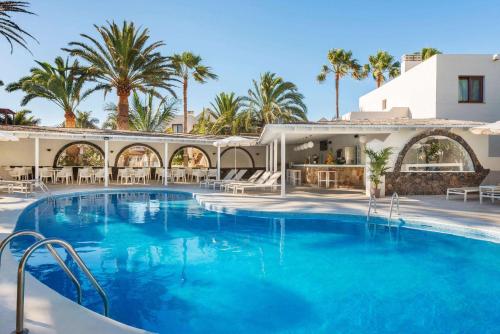 科拉雷侯Alua Suites Fuerteventura - All Inclusive的棕榈树度假村内的大型游泳池