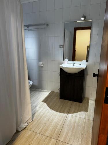 瓦尔迪维亚Hotel Casona Los Colonos的一间带水槽和镜子的浴室