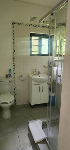 卢萨卡Treegate HMS Gardens的浴室配有卫生间、盥洗盆和淋浴。