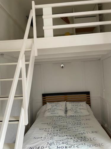 圣布里厄Charmant appartement T2 plein centre ville的一张位于高架床的房间内的床铺