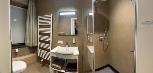 拉罗什-阿登Logis Hotel Du Midi的一间带水槽、淋浴和卫生间的浴室