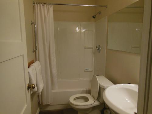 查塔姆肯特汽车旅馆的浴室配有卫生间、淋浴和盥洗盆。
