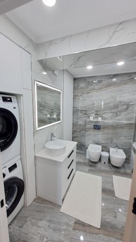基希讷乌Аэропорт Апартаменты 24&24的一间带水槽和洗衣机的浴室