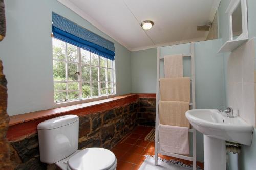 温特顿斯皮翁考普山林小屋的一间带卫生间、水槽和窗户的浴室
